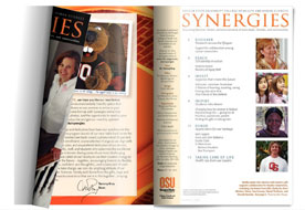 Synergies insert
